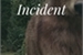 Fanfic / Fanfiction Pleasant Incident