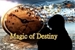 Fanfic / Fanfiction Coletânea de contos Magic of Destiny