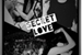 Fanfic / Fanfiction Secret Love - Camren