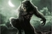 Fanfic / Fanfiction Werewolves and Supernatural Creatures (Rewrite)