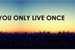 Fanfic / Fanfiction You only live once