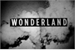 Fanfic / Fanfiction Wonderland