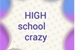 Fanfic / Fanfiction High school crazy