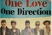 Fanfic / Fanfiction One Love One Direction