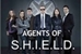 Fanfic / Fanfiction S.H.I.E.L.D: Agentes Especiais 1