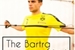 Fanfic / Fanfiction The bartra song