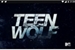 Fanfic / Fanfiction Teen Wolf nova história