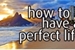 Fanfic / Fanfiction How To Have A Perfect Life