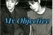 Fanfic / Fanfiction My Objective