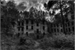Fanfic / Fanfiction O Mistério do Sanatório