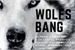 Fanfic / Fanfiction WolfsBang