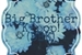 Fanfic / Fanfiction Big Brother Kpop!(BBK)