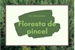 Fanfic / Fanfiction Floresta de pincel (diaboliks lovers)