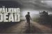 Fanfic / Fanfiction The walking dead- A new world