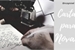 Fanfic / Fanfiction Cartas para Novak ✿ Destiel