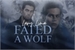 Fanfic / Fanfiction Fated a wolf - Sterek