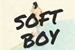 Fanfic / Fanfiction Soft Boy ( Moonbin )