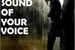 Fanfic / Fanfiction The Sound of your Voice