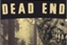Fanfic / Fanfiction Dead End
