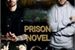 Fanfic / Fanfiction Prison Novel