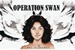 Fanfic / Fanfiction Operation Swan