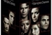 Fanfic / Fanfiction The Vampire diaries