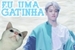 Fanfic / Fanfiction ♡Eu uma gatinha♡(imagine jimin)