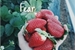 Fanfic / Fanfiction Fear | Jikook