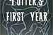 Fanfic / Fanfiction Ms. Potter's first year