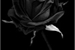 Fanfic / Fanfiction The Black Rose
