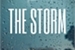 Fanfic / Fanfiction The storm - Shameron
