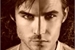 Fanfic / Fanfiction The Salvatore's Selection - Interativa