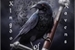 Fanfic / Fanfiction Kingdom of Ravens - interativa - Hiato