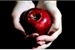 Fanfic / Fanfiction 🍎You are My poisoned apple🍎 (ABO)