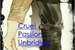 Fanfic / Fanfiction Cruel Passion Unbridled