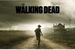 Fanfic / Fanfiction The Walking Dead - Um Novo Começo