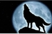 Fanfic / Fanfiction Wolf Moon
