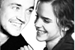 Fanfic / Fanfiction Perfect - Dramione