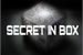 Fanfic / Fanfiction Secret In Box