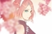 Fanfic / Fanfiction A vida de Sakura