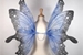 Fanfic / Fanfiction Butterfly blue