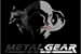 Fanfic / Fanfiction Metal Gear: Hearts in War