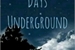 Fanfic / Fanfiction 30 Days Underground