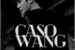 Fanfic / Fanfiction Caso Wang