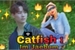 Fanfic / Fanfiction Catfish: Im Jaebum
