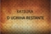Fanfic / Fanfiction Katsura - O UCHIHA RESTANTE