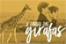 Fanfic / Fanfiction O garoto das Girafas