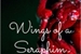 Fanfic / Fanfiction Wings Of a Seraphim