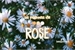 Fanfic / Fanfiction Os Poemas de Rose