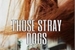 Fanfic / Fanfiction Those Stray Dogs